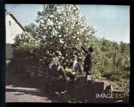 Hommes près d'un arbre (Meurthe-et-Moselle)