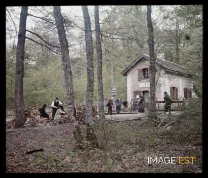 Groupe de personnes en forêt (Meurthe-et-Moselle)