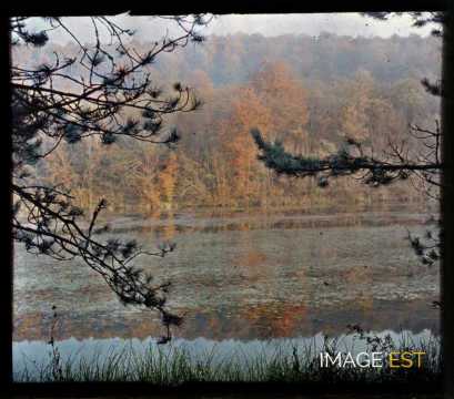 Cours d'eau