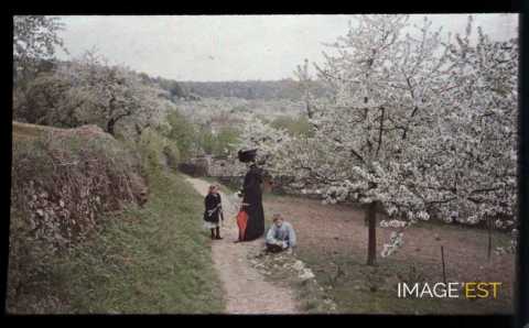 Femme et enfants sur un sentier (Maxéville)