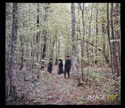 Groupe en forêt (Meurthe-et-Moselle)