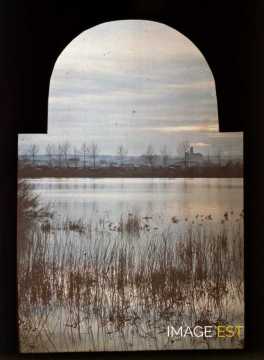 La Meurthe (Tomblaine)