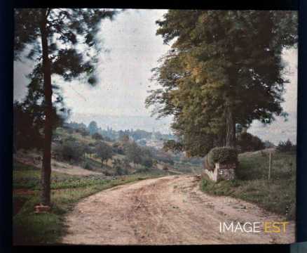 Sentier (Villers-lès-Nancy)