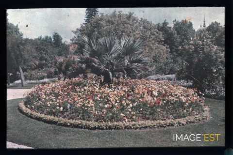 Parterre de fleurs (Portugal)