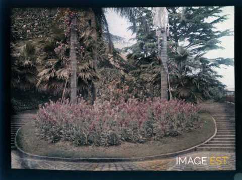 Parterre de fleurs (Portugal)