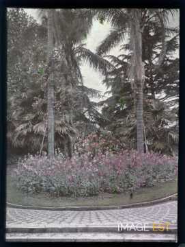 Parterre de fleurs (Portugal)