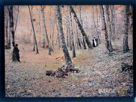 Homme et femme en forêt (Meurthe-et-Moselle)