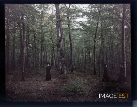 Trois femmes en forêt (Meurthe-et-Moselle)