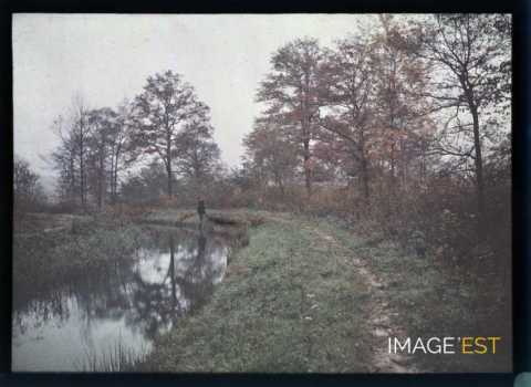 Sentier au bord de l'eau (Meurthe-et-Moselle)