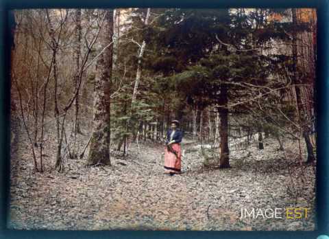 Femme en forêt (Meurthe-et-Moselle)