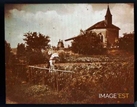 Femme dans un potager (Meurthe-et-Moselle)