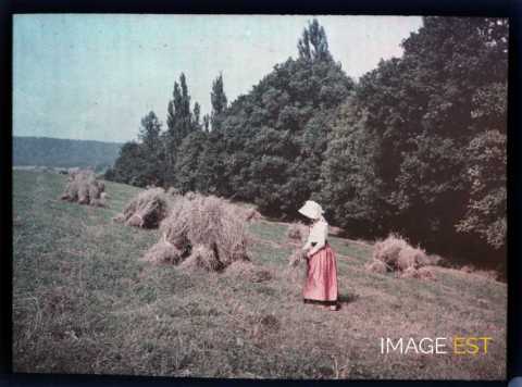 Femme dans un champ (Meurthe-et-Moselle)