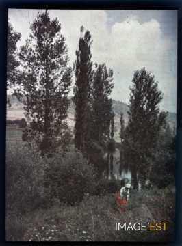 Femme au bord de l'eau (Meurthe-et-Moselle)