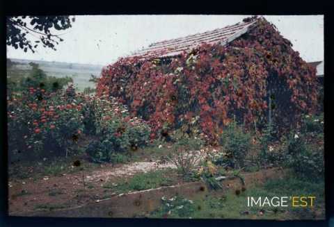 Cabanon (Meurthe-et-Moselle)