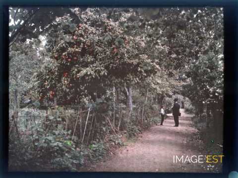 Homme et enfant sur un sentier (Meurthe-et-Moselle)