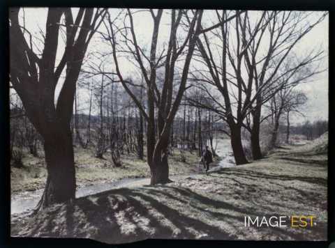 Promeneur (Meurthe-et-Moselle)