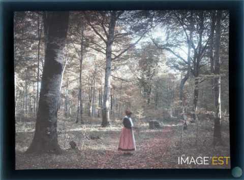 Femme en forêt (Meurthe-et-Moselle)
