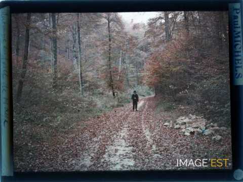 Homme sur une route (Meurthe-et-Moselle)