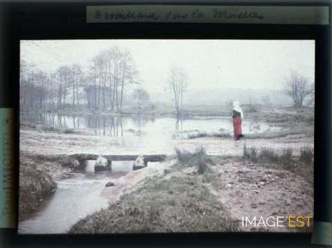 Femme au bord de la Moselle (Meurthe-et-Moselle)