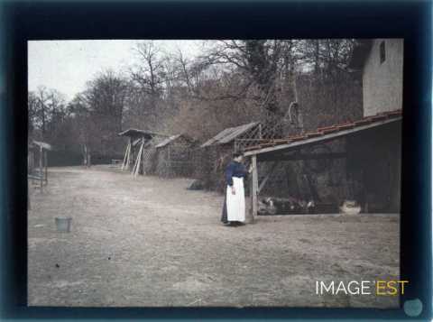 Femme près d'un poulailler (Meurthe-et-Moselle)