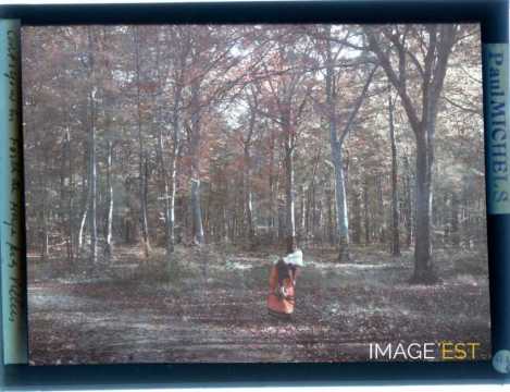 Femme en forêt (Villers-lès-Nancy)