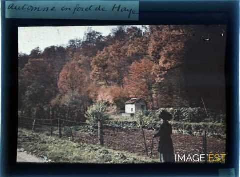 Femme près d'un sentier (Meurthe-et-Moselle)