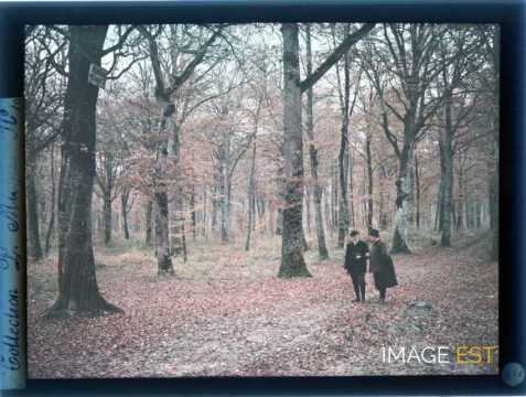 Hommes en forêt (Meurthe-et-Moselle)