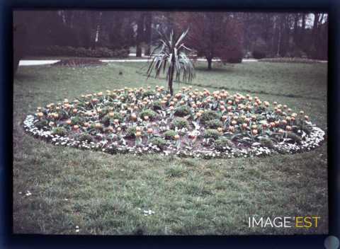 Parterre de fleurs (Nancy)