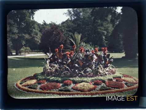 Parterre de fleurs (Nancy)