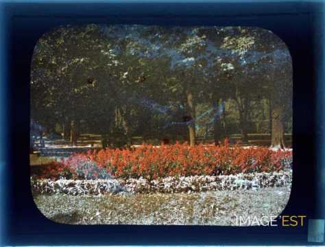 Parterre de fleurs (Nancy)