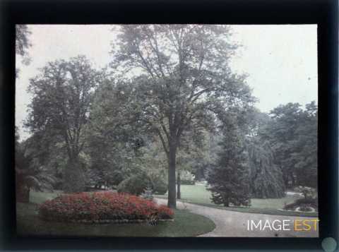 Parterre de fleurs (Nancy)