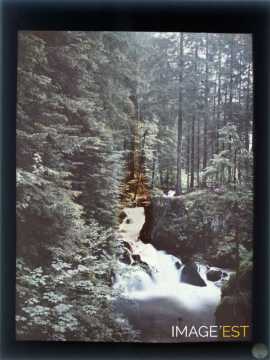 Chute d'eau (Vosges)