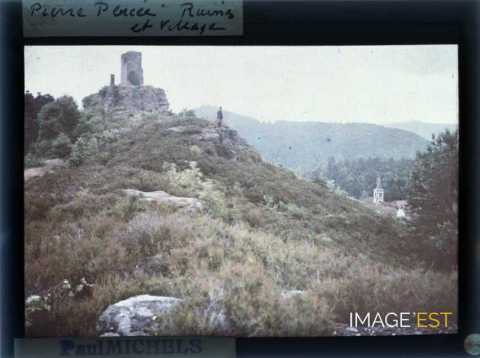 Vestiges du château de Salm (Salm)