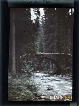 Pont des Fées (Gérardmer)