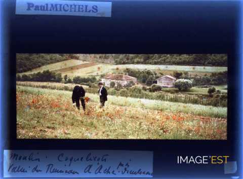 Champ de coquelicots (Dieulouard)