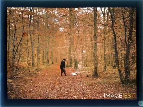 Homme en forêt (Meurthe-et-Moselle)