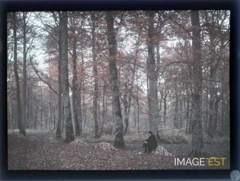 Homme en forêt (Meurthe-et-Moselle)