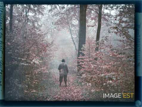 Homme en forêt  (Meurthe-et-Moselle)