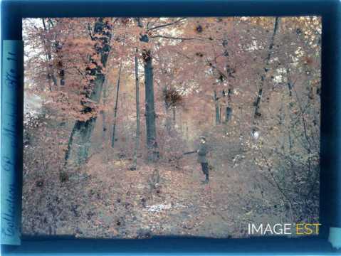 Chasseur en forêt (Meurthe-et-Moselle)