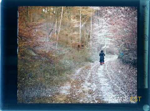 Femme en forêt (Meurthe-et-Moselle)