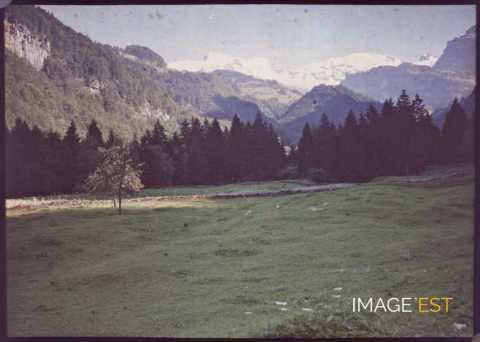 Paysage montagneux