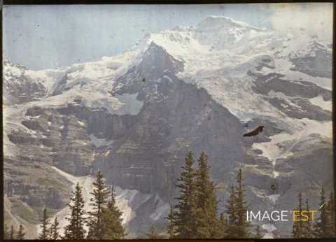 La Jungfrau (Fieschertal)