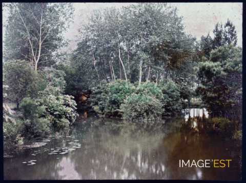 Cours d'eau