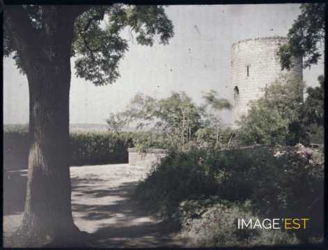 Tour (Chinon)