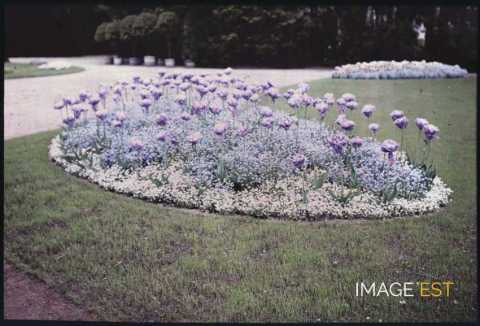 Parterre de fleurs (Strasbourg)
