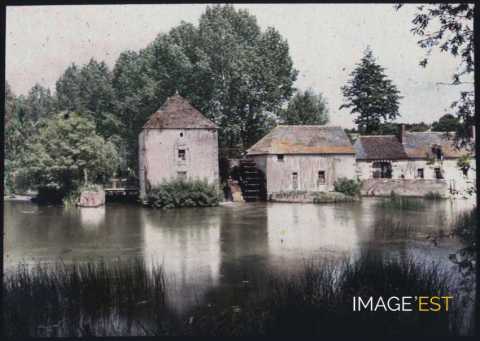 Moulin (Artannes-sur-Indre)
