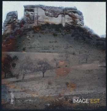 Vestiges (Fleckenstein)