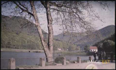 Étang (Niderbronn-les-Bains)