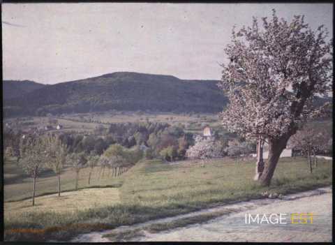 Paysage rural (Lembach)