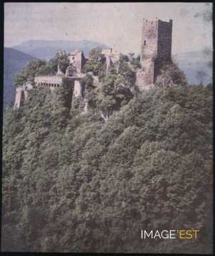 Vestiges de Saint-Ulrich ( Ribeauvillé)